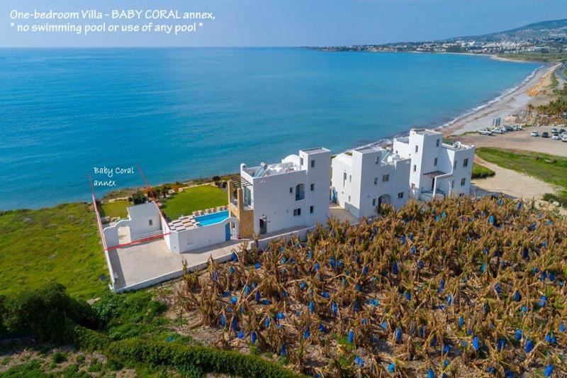 Blue Coral Beach Villas Three Exclusive Villas - Poseidon - Nautilus - Oceanos - And - Baby Coral Bungalow Golful Coralilor Exterior foto